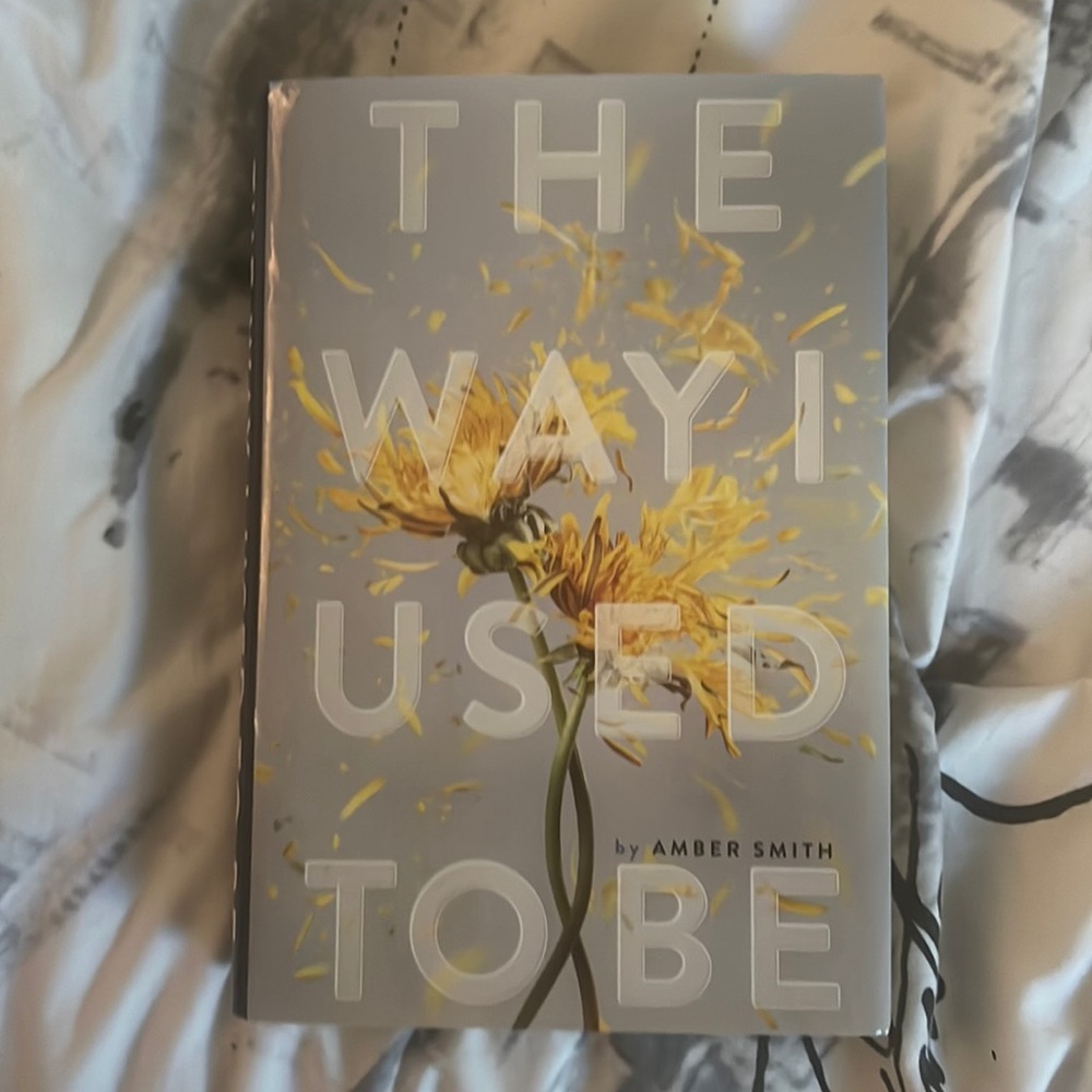 The Way I Used to Be by Amber Smith